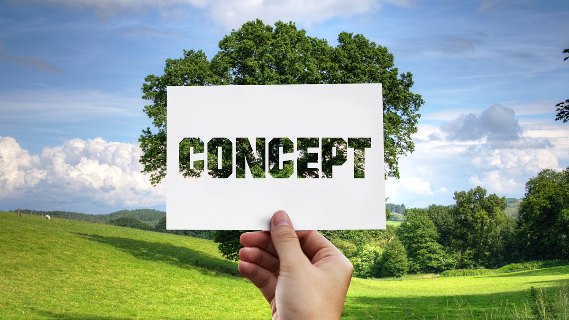 Le sac publicitaire, une fonction utile et une véritable opportunité marketing