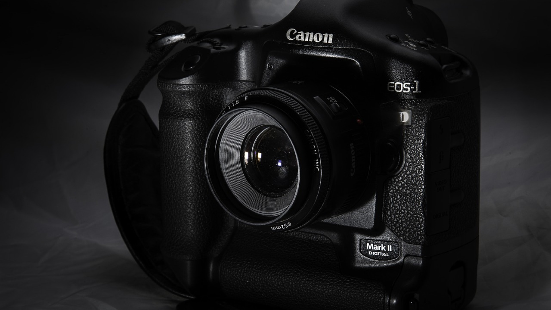 Une photo en dit beaucoup, alors prenons soin d&rsquo;elle