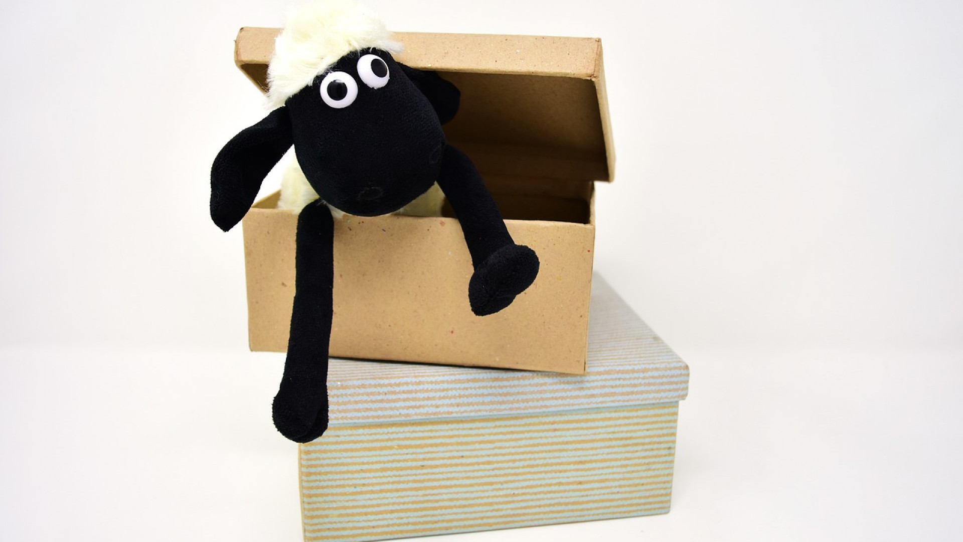 Des kits de déménagement pour bénéficier d&rsquo;équipements appropriés