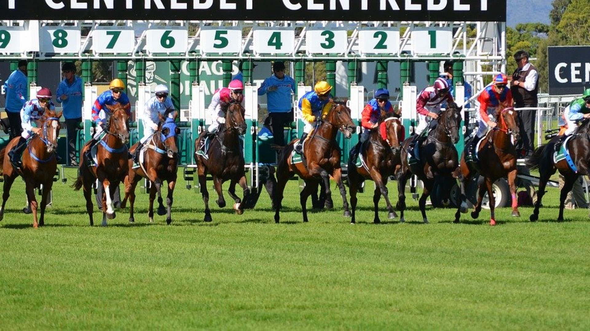 Le turf : une habitude française