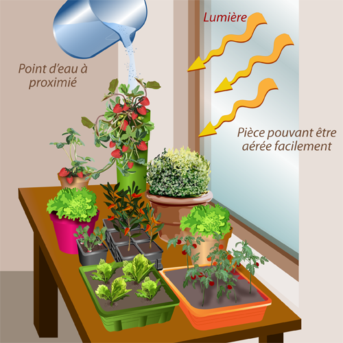 Créer son potager à l&rsquo;intérieur