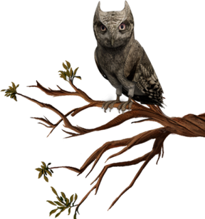 L&rsquo;Association PETA épingle le WB Studio Tour