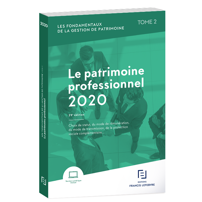 Le patrimoine professionnel