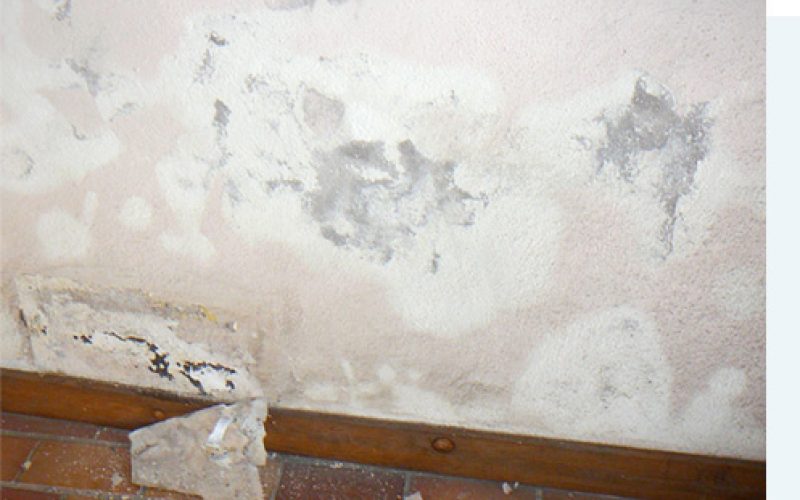 Les conséquences de l’humidité sont sous-estimées