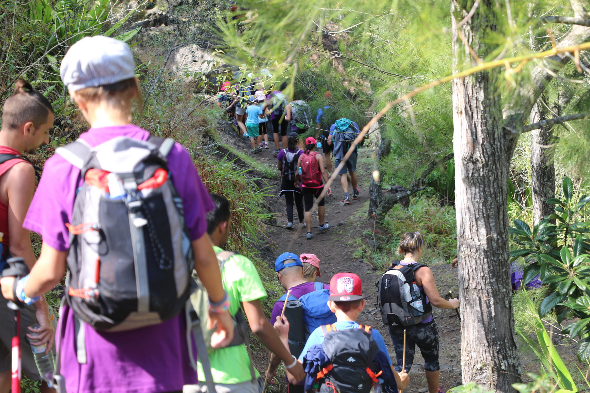 Ressourcez-vous avec une randonnée à la Réunion