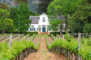grands crus en primeur