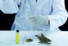 Quelle est la meilleure huile de CBD pas chère ?