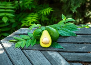 Faire pousser un avocat chez vous : le guide étape par étape