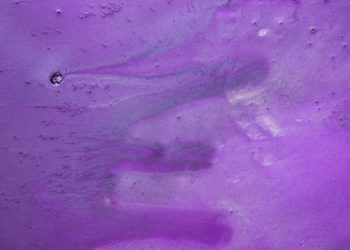 La magie des couleurs : créer du violet en peinture