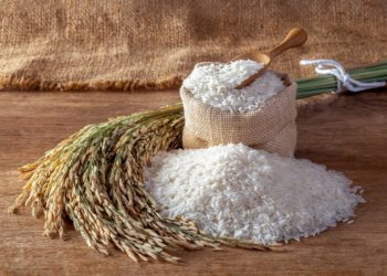 Les secrets pour réussir la cuisson du riz à tous les coups !