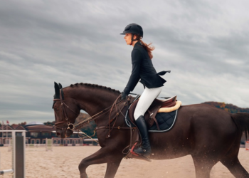 Vêtements d’équitation techniques : quelles sont les meilleures vestes d’équitation Horse Pilot ?