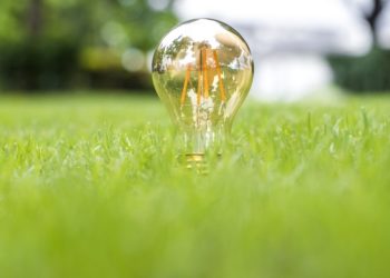 Comment choisir une offre d’électricité verte ?