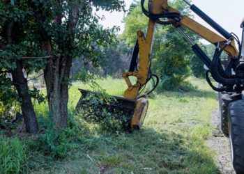 Broyeurs forestiers pour tous les terrains : efficacité maximale sur chaque machine opératrice